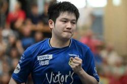 AYXapp下载-瑞典队绝杀德国队，樊振东带队取胜的简单介绍