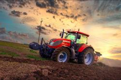 爱游戏娱乐-世界排名争夺战焦点战，喀麦隆血拼荷兰，非洲雄狮的尊严之战