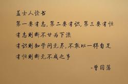 爱游戏体育-从格子军团险胜到亚洲之光闪耀，足球世界的唯一性叙事