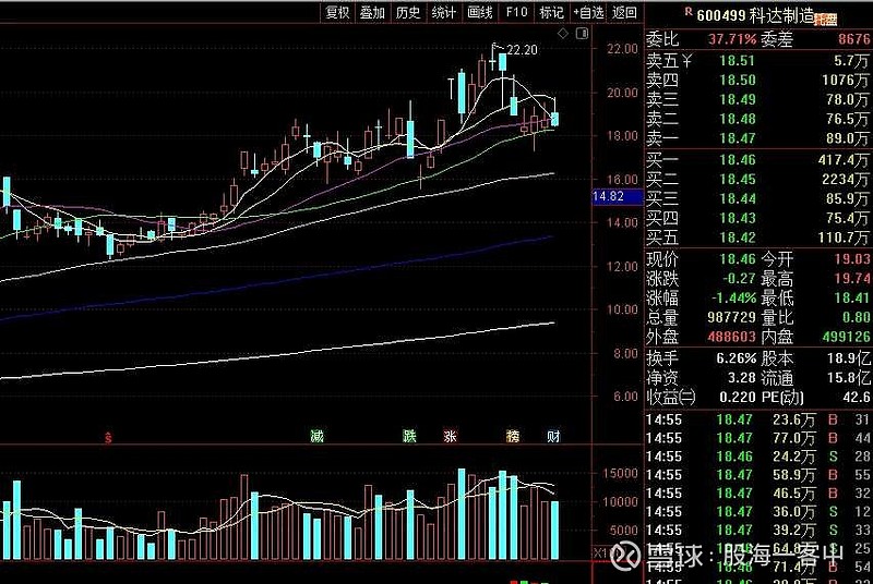 关于非常规项比赛产生黑马，成为引争议的信息