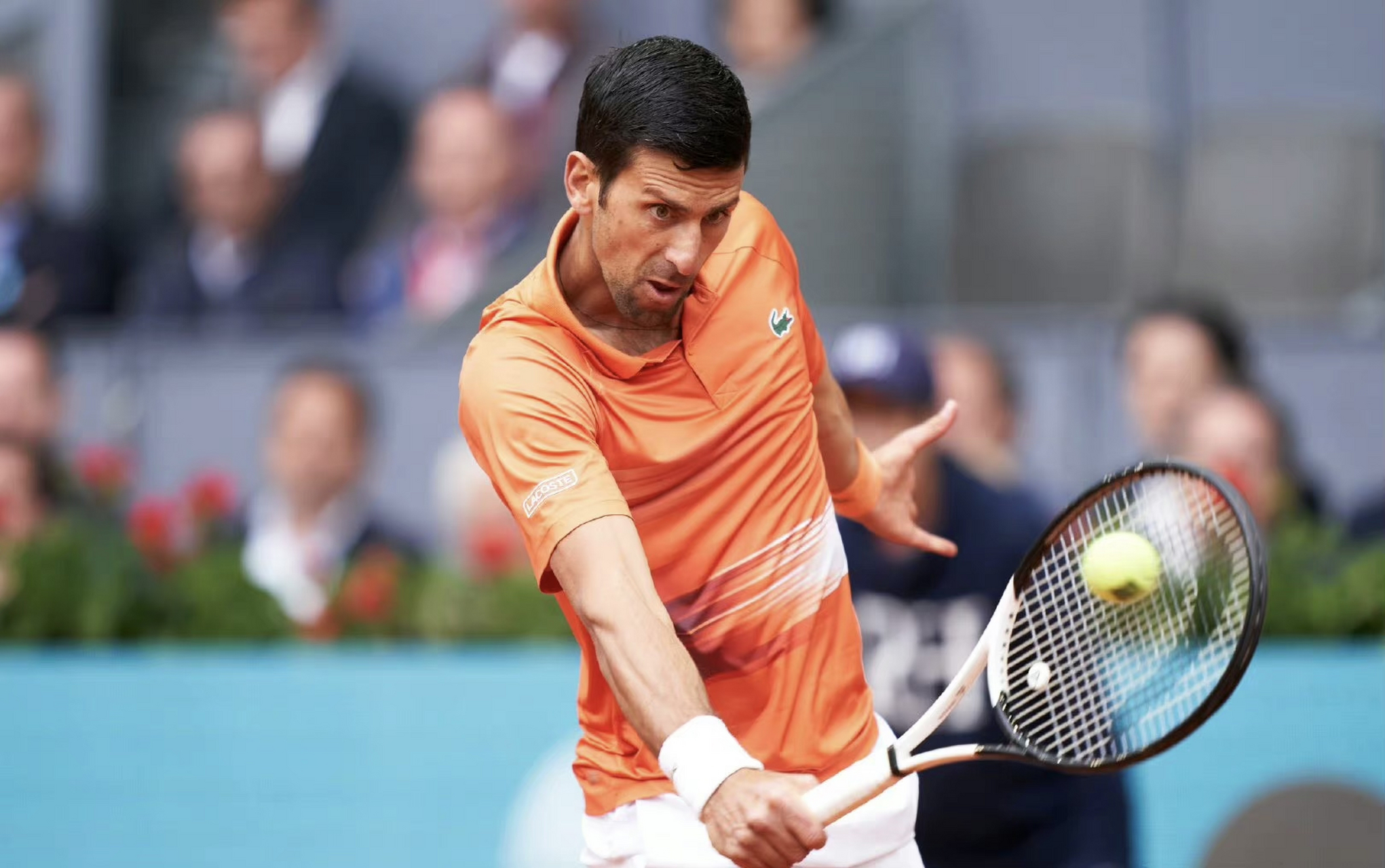 西班牙网球队横扫意大利网球队，德约科维奇高光表现的简单介绍