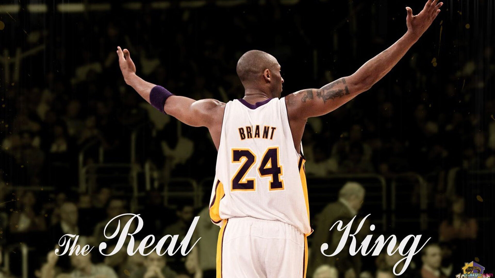 安赛龙单骑救主难挽狂澜，马来西亚队团体碾压印尼创历史