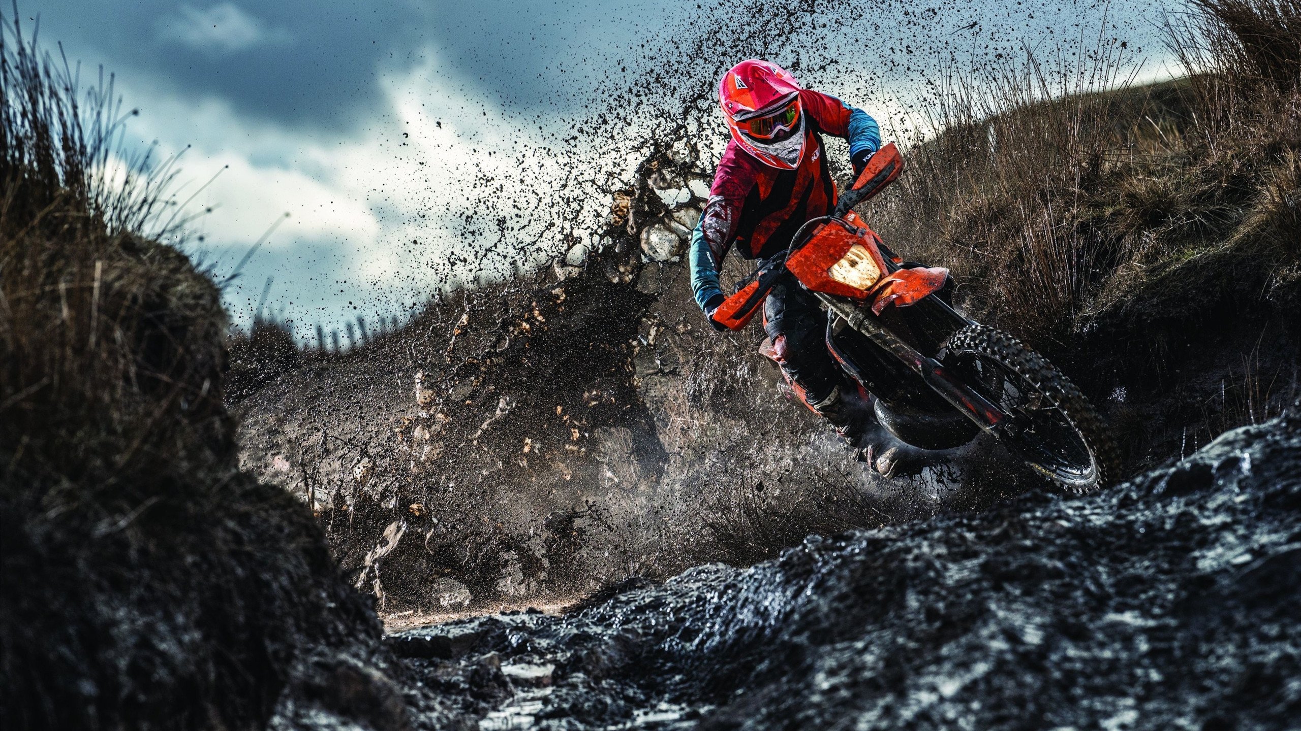 活塞铁血防守锁死森林狼，布克国际赛场接管排名战